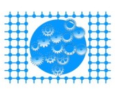 柑橘一畝大概產(chǎn)量多少？解析品種差異與管理技術(shù)對畝產(chǎn)的影響