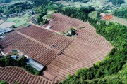 田間示范秀柑橘種植技術_需要建大概多少方的抗旱蓄水池