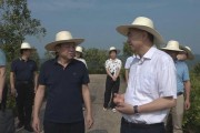 柑橘種植技術(shù)培訓(xùn)方案_柑橘?gòu)氖裁磿r(shí)候開(kāi)始催熟