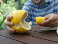 匠心傳承·一號柑普小青柑：經(jīng)典茶飲的醇香之選