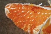 蜜桔含糖量是多少（蜜桔是高糖分水果嗎）