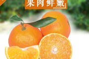 愛(ài)媛是橙子還是橘子呢圖片大全大圖高清(愛(ài)媛是橙子還是橘子呢圖片大全大圖高清頭像)
