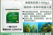 七月份柑橘病蟲害_柑橘異常落葉的原因有哪些