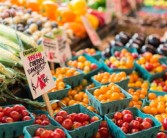 華美七號柑橘樹苗價格多少？2023年最新市場行情解析
