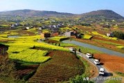 柑橘食用菌種植技術_異抗壞血酸鈉的正確添加方法
