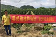 廣西柑橘種植技術(shù)圖片及價格_2021年12月份柳州有什么果可搞