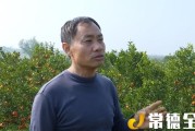 澧縣柑橘種植技術(shù)培訓(xùn)_湖南的物產(chǎn)有哪些全國之最