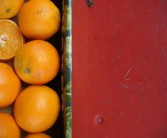 中國(guó)十大柑橘排名出爐：云南有幾種瞪子？地域特色品種深度解析