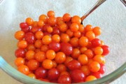三月紅柑橘2025：未來產(chǎn)業(yè)升級與豐收年景前瞻