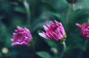 柑橘陷阱by全文免費(fèi)閱讀下載最新章節(jié)完整版資源限時(shí)免費(fèi)獲取