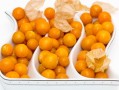 沃柑成熟期一般多久（沃柑成熟季節(jié)是幾月份）