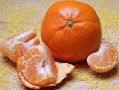 四川柑橘苗什么時(shí)間蓋地膜最好？最佳時(shí)機(jī)與操作要點(diǎn)解析