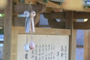 廣西沃柑苗基地電話多少號(hào)(廣西哪里有沃柑苗出售) 廣西沃柑苗基地電話多少號(hào)(廣西哪里有沃柑苗出售)