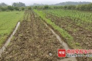 柑橘園種植技術(shù)員_現(xiàn)在國家出政策要求培養(yǎng)高素質(zhì)農(nóng)民