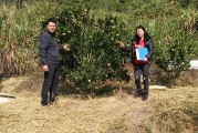 柑橘種植技術(shù)與施肥_柑橘樹(shù)能長(zhǎng)多高