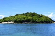 宜賓沃柑基地：長江畔萬畝示范園豐收喜人，甜蜜產(chǎn)業(yè)鋪就鄉(xiāng)村振興新篇章
