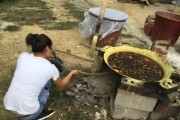 柑橘開春病蟲害有哪些防治方法_有什么藥劑防治比較好 柑橘開春病蟲害有哪些防治方法_有什么藥劑防治比較好