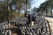 助農(nóng)驛站柑橘種植技術_你覺得哪種禮品更讓人喜歡