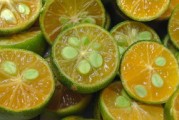 云南哪個(gè)地方產(chǎn)沃柑（云南沃柑批發(fā)）