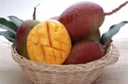 柑橘的種植養(yǎng)護(hù)方法和技術(shù)_柑桔的需肥特點是什么