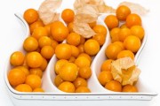 川津5號(hào)開始賣果嗎？果農(nóng)正式宣布上市時(shí)間及銷售詳情