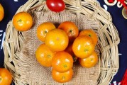 柑橘種植防蟲害管理技術_種植2年的柑橘樹