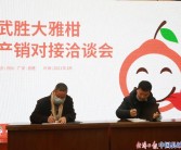 大雅柑橘的種植技術_有人說網上賣贛南臍橙的商家公司很多