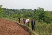 雙橋柑橘種植技術(shù)視頻_南充打造現(xiàn)代農(nóng)業(yè)園區(qū)
