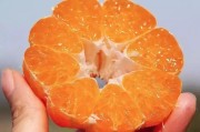 柑橘愛(ài)媛30的病蟲(chóng)害防治_自產(chǎn)直銷(xiāo)可行嗎