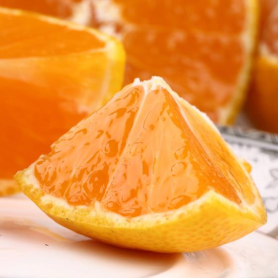 江西能種紅美人柑橘嗎（紅美人柑橘苗基地）