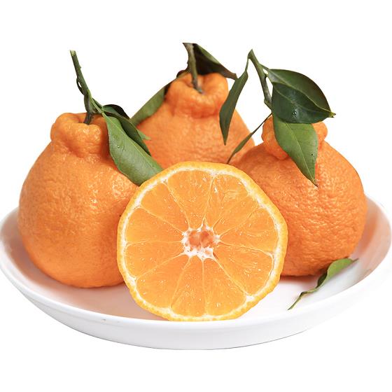 金桔功效作用藥效什么（金桔的功效與作用 食用方法）