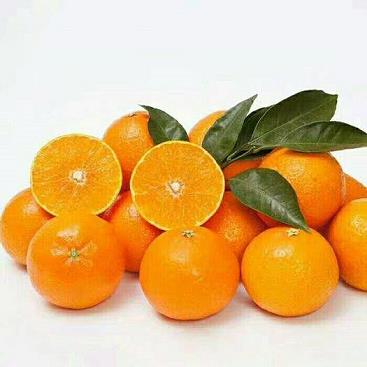 柑橘開花坐果打什么藥（柑橘開花后打什么藥）