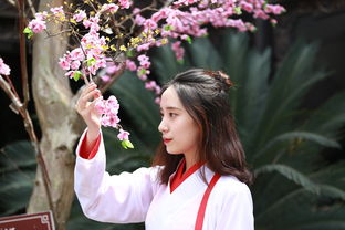 沃柑種子怎么發(fā)芽不嫁接幾年結(jié)果（沃柑用種子種什么時(shí)候能長果?）