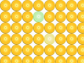 柑橘修剪三稀三密技術(shù)解析：科學(xué)調(diào)控樹冠提質(zhì)增效