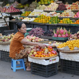 柑橘有哪些病害用什么藥（柑橘通常有哪些?。? /></p><p>據在四川觀察，3～5月，一般在柑橘開花前后大量發(fā)生，出現(xiàn)之一次螨口高峰；廣東地區(qū)，在立春后天氣轉暖時，越冬卵出現(xiàn)1～2個盛孵期。這時是防治次數最多的時期。9～11月秋梢抽發(fā)好的柑橘樹，還會發(fā)生第二次高峰。一般來說，春季的高峰比秋季的高峰嚴重，秋梢受害嚴重時，冬季會出現(xiàn)大量落葉。</p><h2 id='柑橘常見病蟲害防治'>柑橘常見病蟲害防治</h2><p>蚜蟲：主要危害柑橘的嫩葉、嫩枝和花蕾等部位，導致葉片卷曲、枯萎、花朵凋謝等癥狀。防治 *** ：定期噴灑殺蟲劑；采用生物防治 *** ，如引入天敵昆蟲等。 紅蜘蛛：主要危害柑橘的葉片和果實，導致葉片變黃、脫落，果實變形、變色等癥狀。防治 *** ：定期噴灑殺蟲劑；采用生物防治 *** ，如引入天敵昆蟲等。</p><p style=