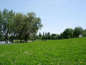 忠縣地區(qū)柑橘種植技術（忠縣柑橘基地）