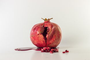 正宗紅美人柑橘樹苗直播：果農(nóng)直供現(xiàn)挖現(xiàn)發(fā)，保真帶土帶根包郵到家
