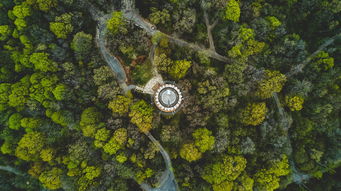 把一些橙柑分裝入袋列方程的實(shí)際分裝問(wèn)題建模與解析步驟