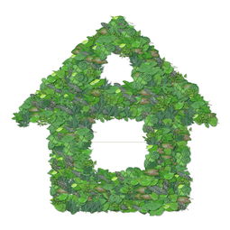 常德市地區(qū)種沃柑：生態(tài)種植技術助力柑橘產(chǎn)業(yè)升級之路