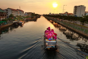 寧香柑橘產(chǎn)地哪個(gè)地區(qū)？核心產(chǎn)區(qū)分布與種植優(yōu)勢(shì)大揭秘