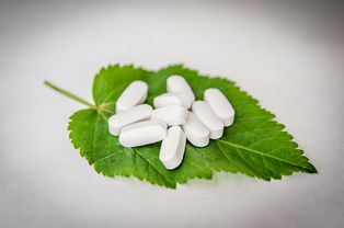 柑橘晚熟高產(chǎn)新品種有哪些呢（晚熟柑橘的食材價(jià)格）