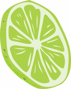 廣東柑橘種植管理技術（廣東柑橘什么時候收獲）