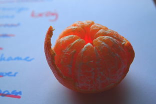 柑橘環(huán)割后落果嚴(yán)重怎么處理（柑橘環(huán)割后多長(zhǎng)時(shí)間愈合）