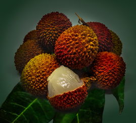 柑橘苗圃種植技術(shù)管理論文（柑橘種植技術(shù)的參考文獻）