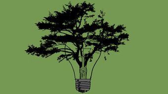 橘子樹種植技術要點（桔子樹種植技術）